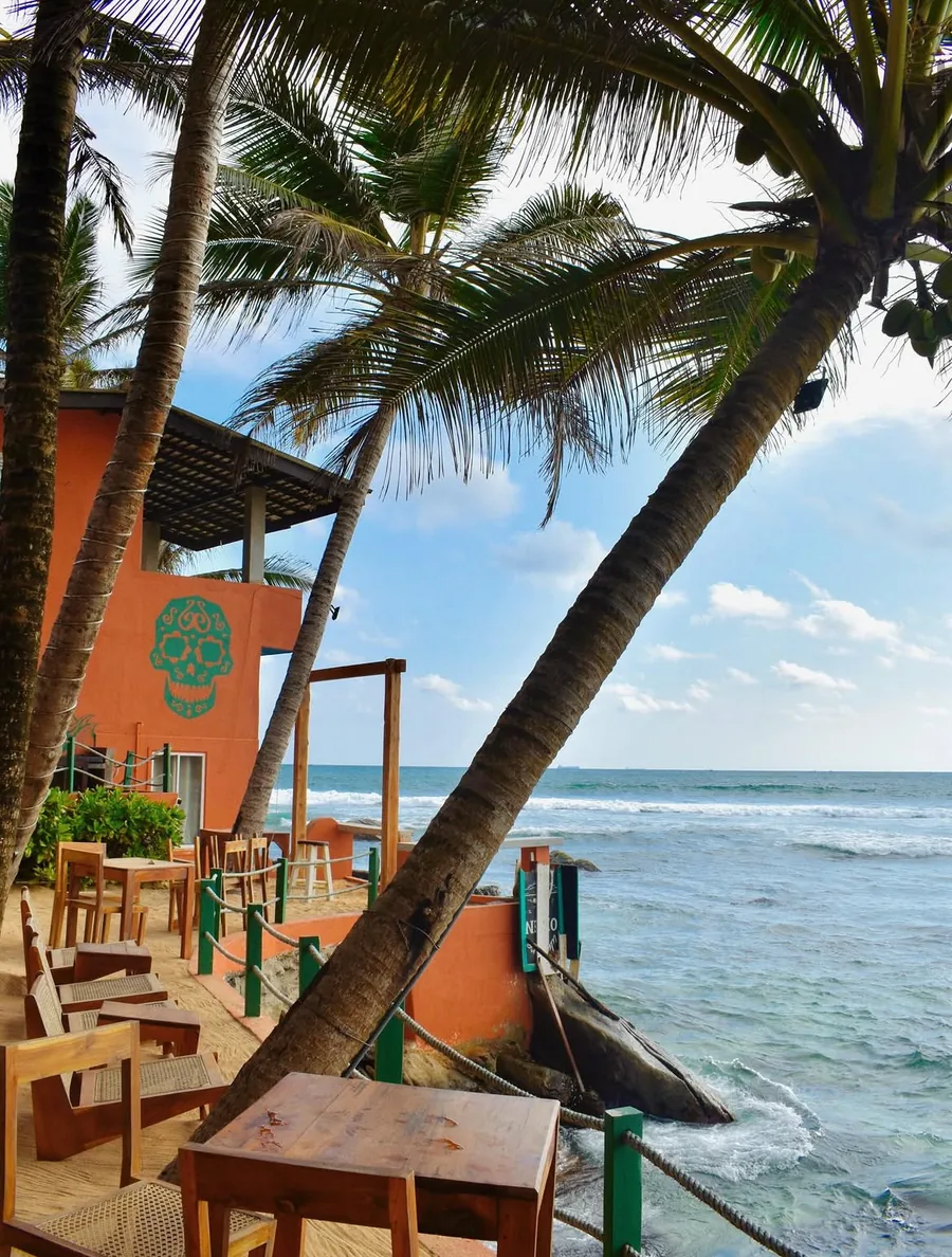 Wooden tables on the sand terrace, palms leaning over the rope railing, waves breaking on the reef behind.