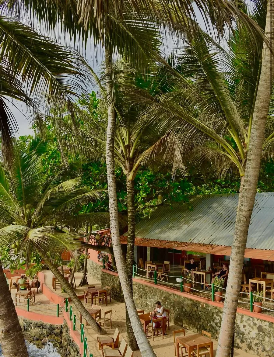 The terrace seen from above through coconut palms, with wooden tables on two levels above the rocks.